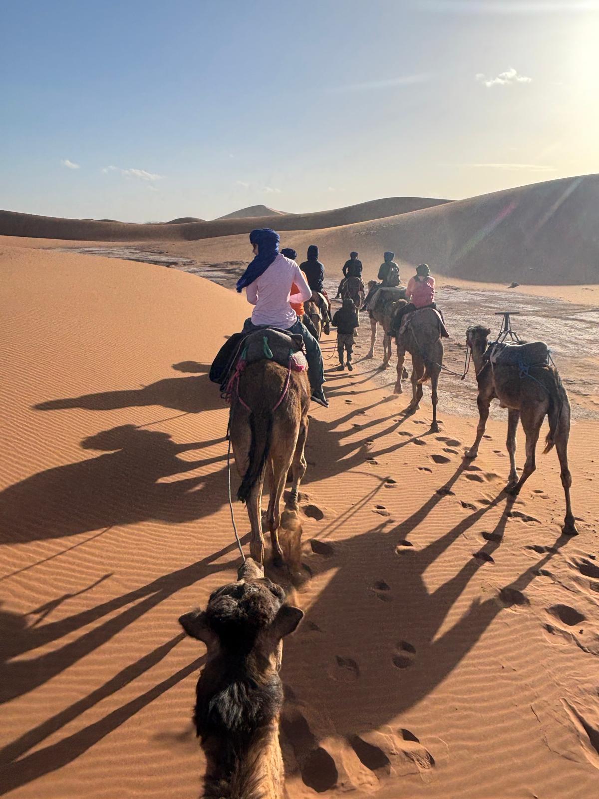 Erg Chebbi Luxury Camps - Morocco