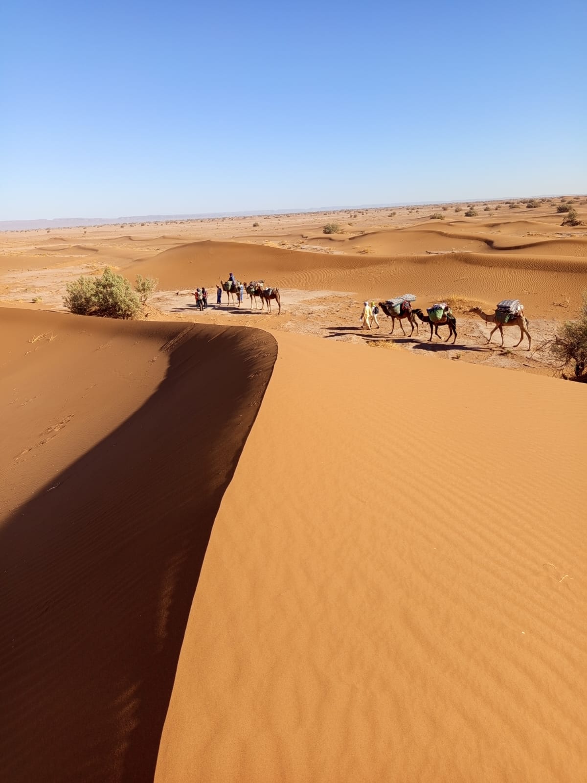Starry night sky over a traditional Berber camp in the Sahara desert near M'Hamid