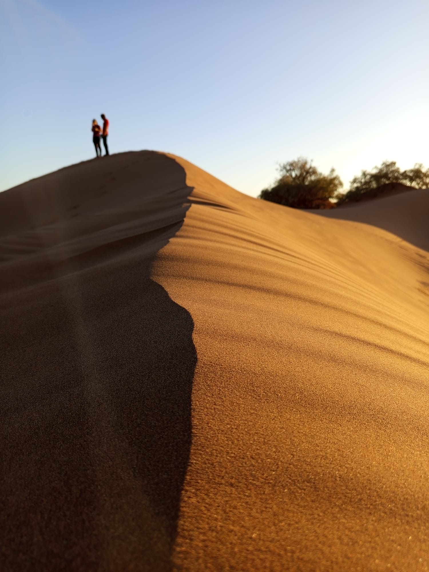 Wide view of the Erg Ezzahar dunes at golden hour, southern Morocco