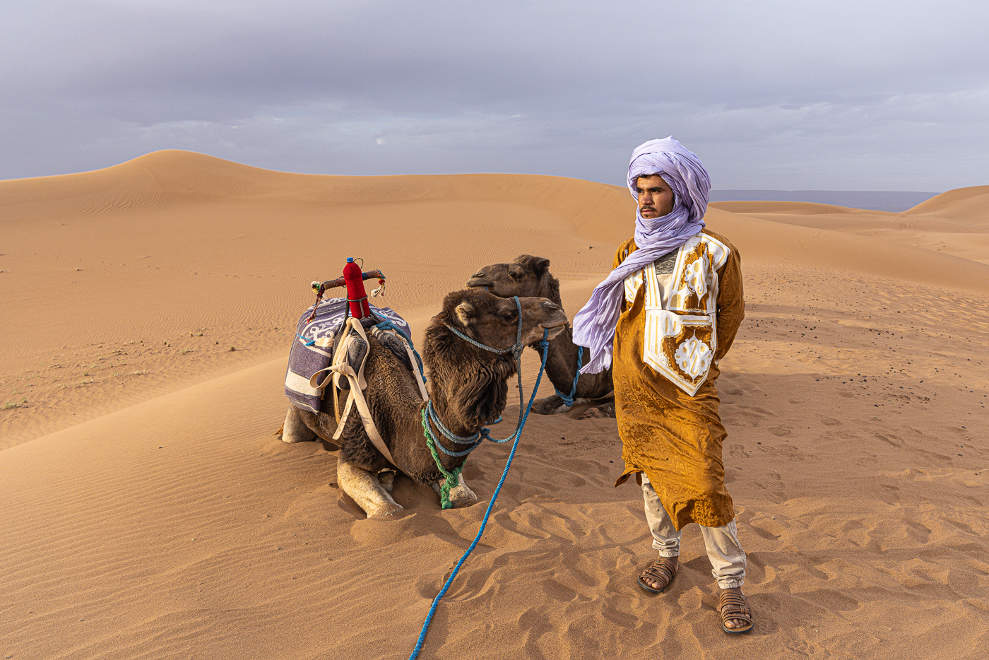 Camel caravan crossing the Sahara dunes