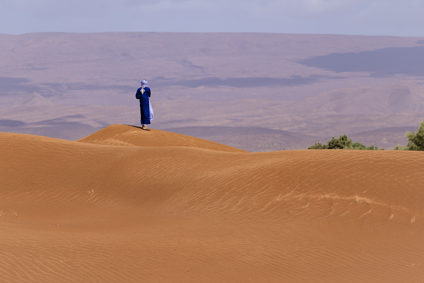 Small groups and short, sunrise-timed rides are the hallmark of a welfare-first desert trek.