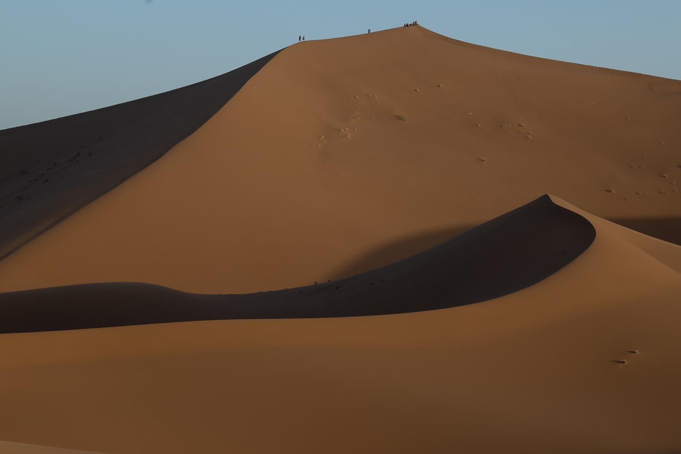 A cameleer and his dromedary in the western Sahara. Well-kept camels are calm, healthy and never overloaded.