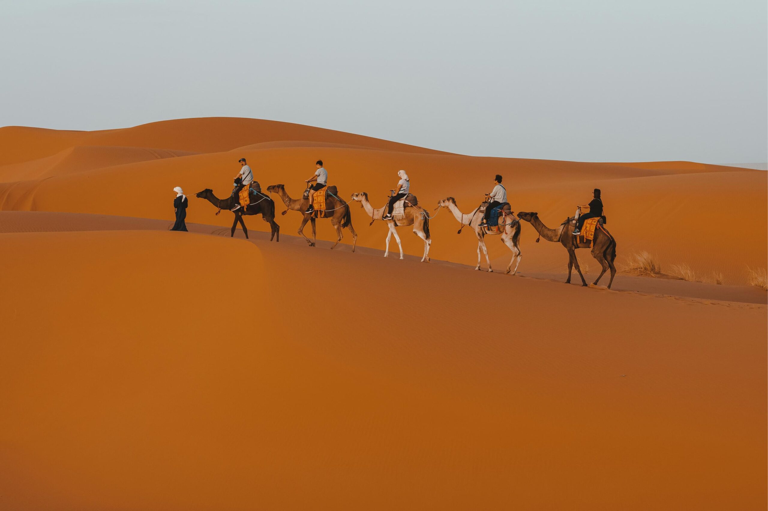 Erg Chebbi near Merzouga — the tall, sculpted dunes that define the classic Sahara experience.